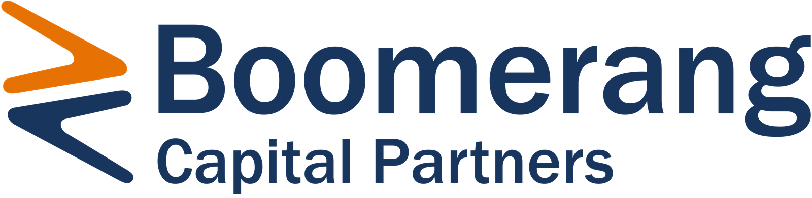 Boomerang Capital
